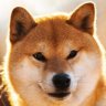 ShibaJumbo