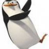 penguin1