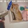 ALLurGroceries