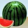 melonjuice1